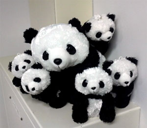 panda2008.jpg